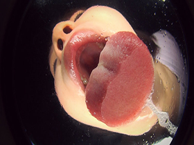 バーチャルベロキッス　サンプル画像06